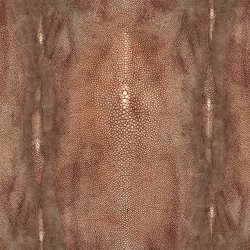 20190107172902-PRECIEUX-3326-01-cuivre