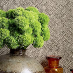 thibaut grass3