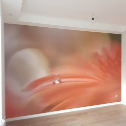 75429673_2582394978512534_4225894188836716544_n